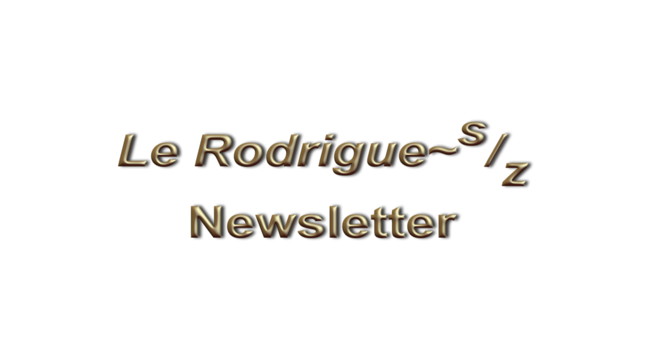 Newsletter